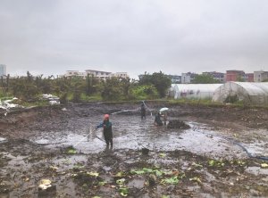 镇江河道鱼塘清淤